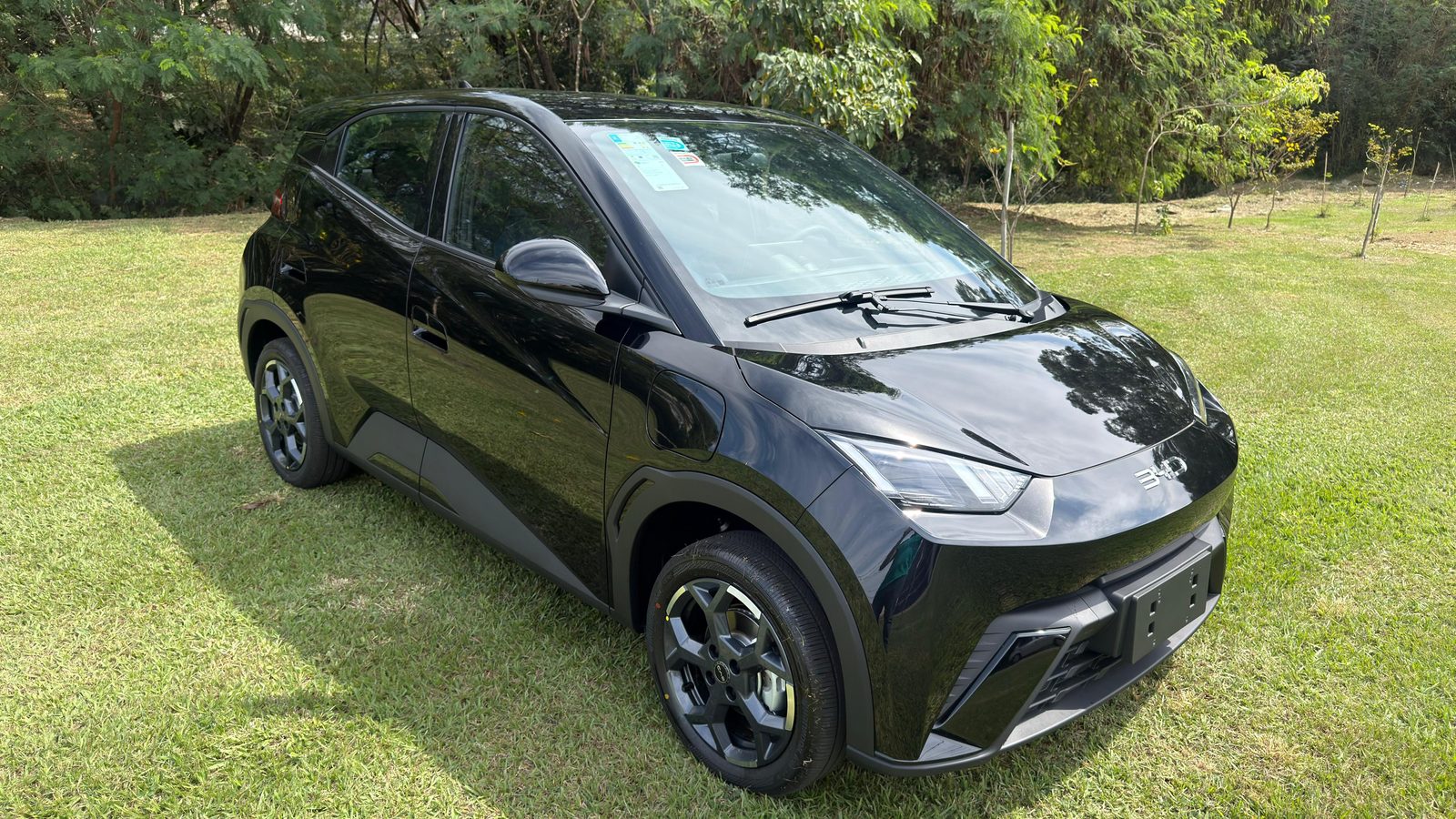 Byd Dolphin Mini Gl — foto 2