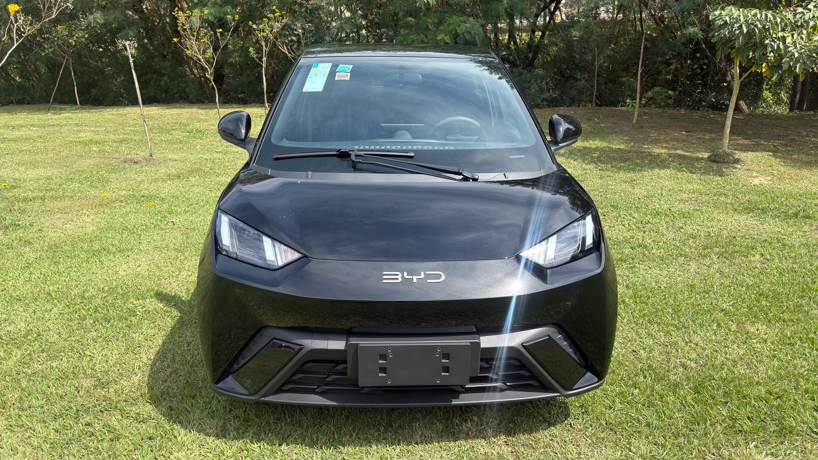Byd Dolphin Mini Gl — foto 3