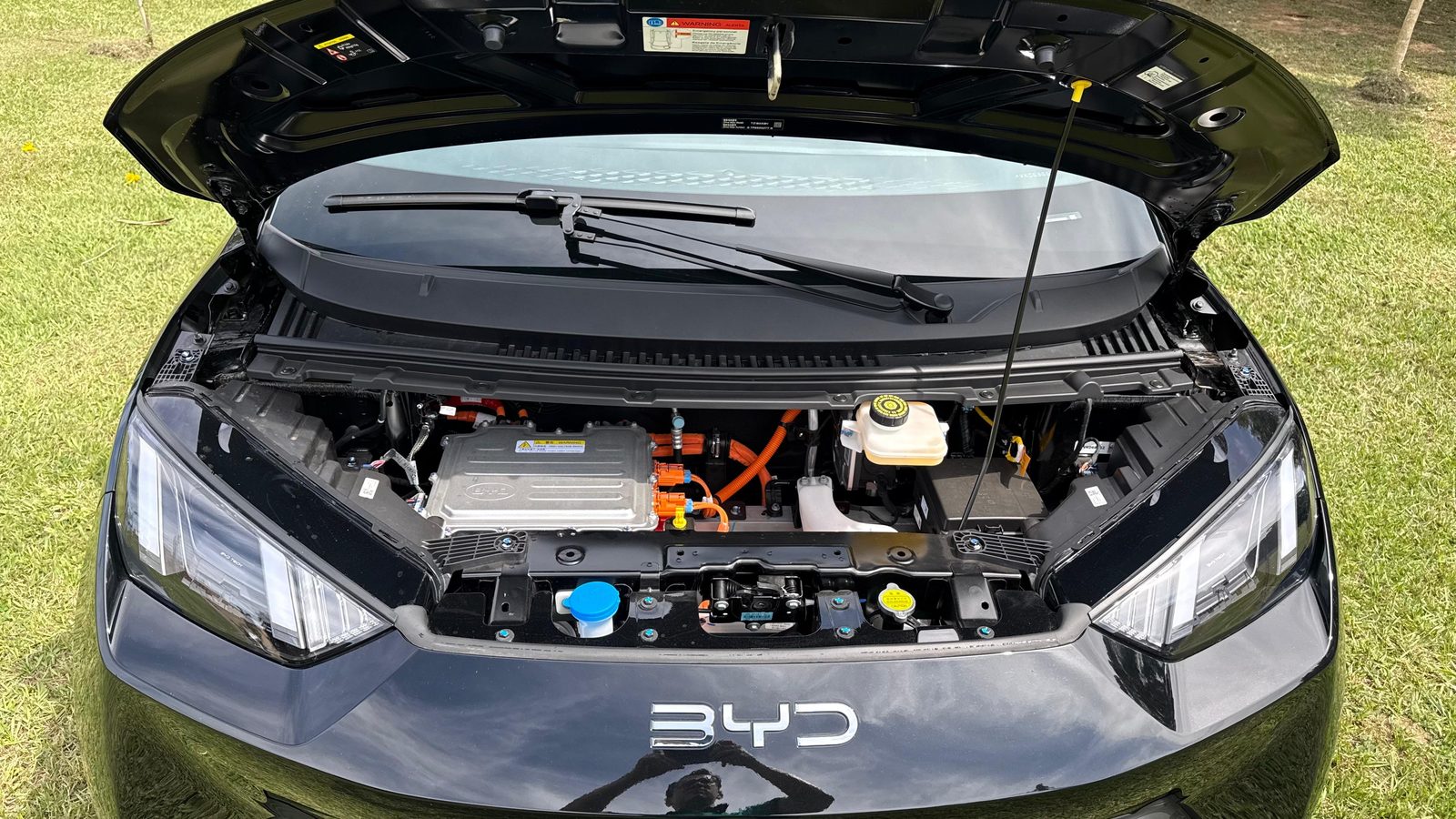 Byd Dolphin Mini Gl — foto 10