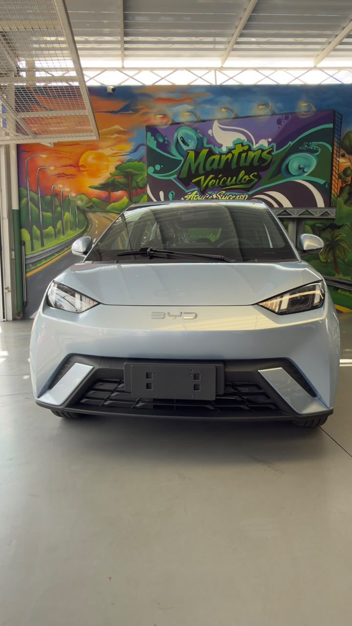 Byd Dolphin Mini Gl — foto 6